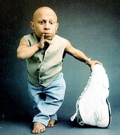 Verne Troyer Biography, Age, Height, Wife, Salary, Net Worth verne troyer net worth - Verne Troyer Biography, Age, Height, Wife, Salary, Net Worth