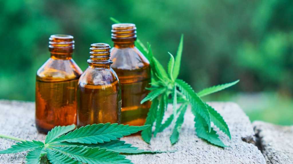 How CBD Affects Your Weight What You Need to Know 36357 1 - How CBD Affects Your Weight: What You Need to Know